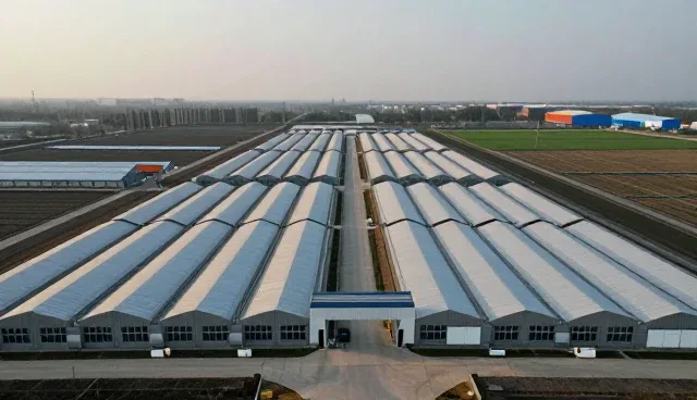 材料性能如何影响来料加工选型决策